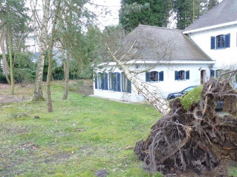 Tempête à Braine-L'Alleud